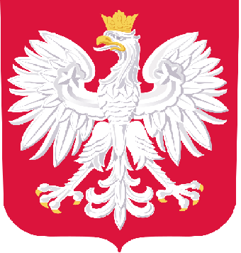 Projekt socjalny -