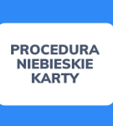 Schemat przebiegu procedury – Niebieskie Karty